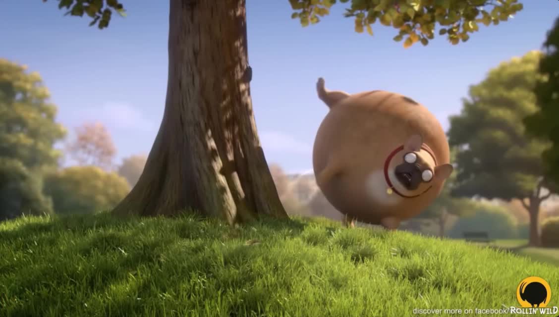 test video
