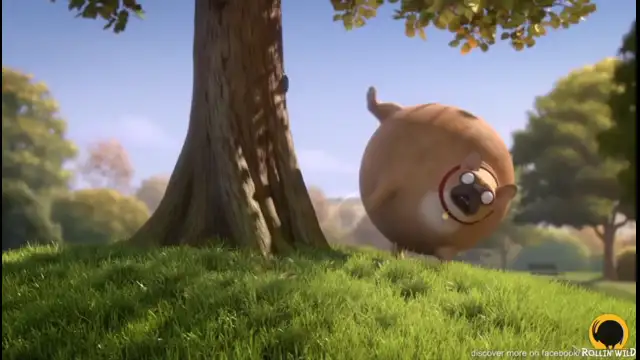 test video