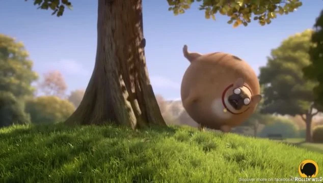test video